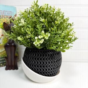 The Echo Orchid Planter, Indoor Tabletop Orchid Pot, Wavy Geometric Design